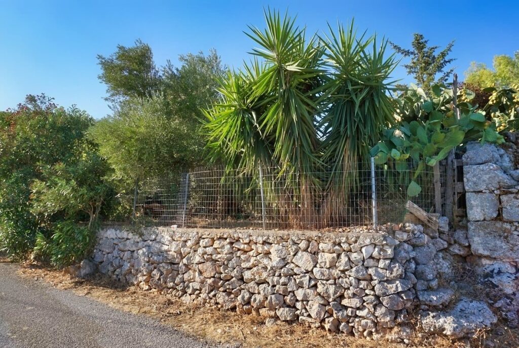 Thumbnail of http://For%20sale%20fenced%20plot%20with%20olive%20trees%20in%20Likotinara,%20Crete
