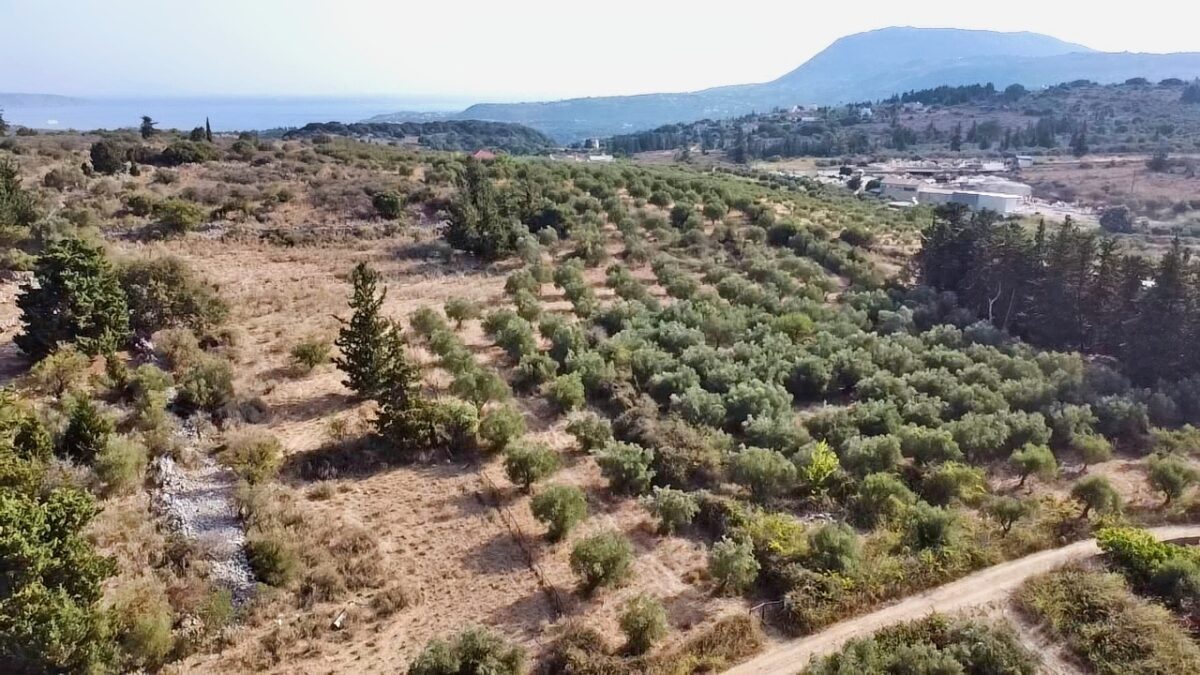 Land in Vamos - Image 4