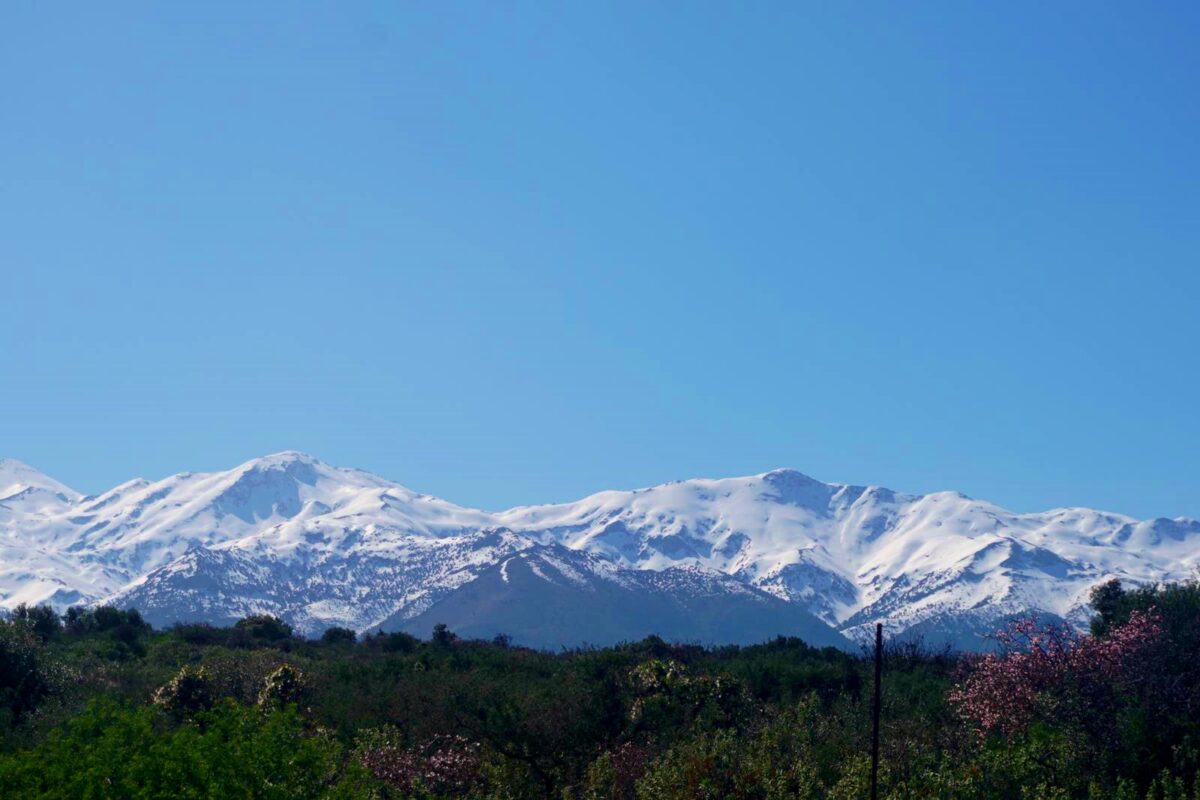 Land in Xirosternion - Image 4