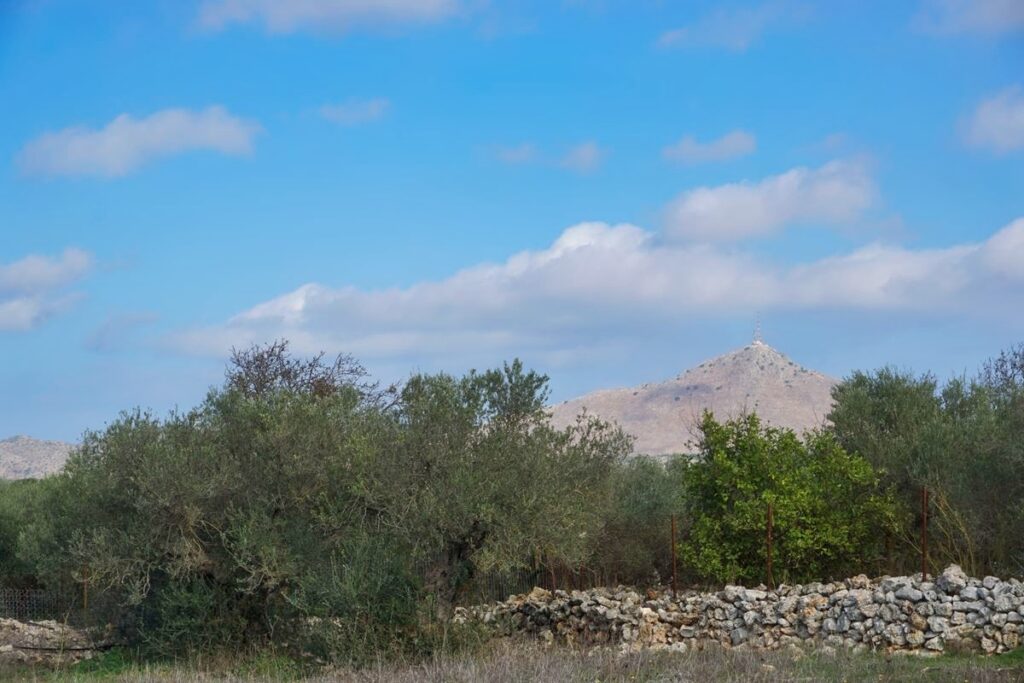 Thumbnail of http://For%20sale%202075%20m²%20fenced%20flat%20land%20plot%20in%20Sternes,%20Crete