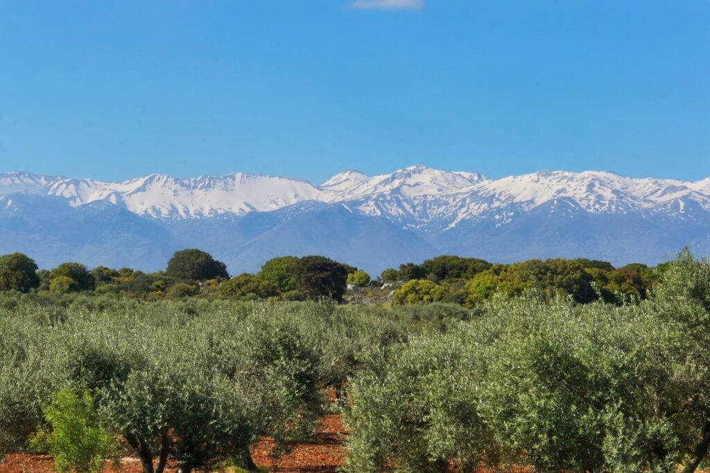 Thumbnail of http://Buy%20land%20plot%20with%20great%20White%20Mountains%20in%20Crete,%20Greece