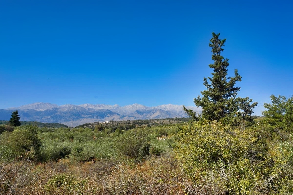 Buy land in Vamos with White Mountains view in Crete, Greece