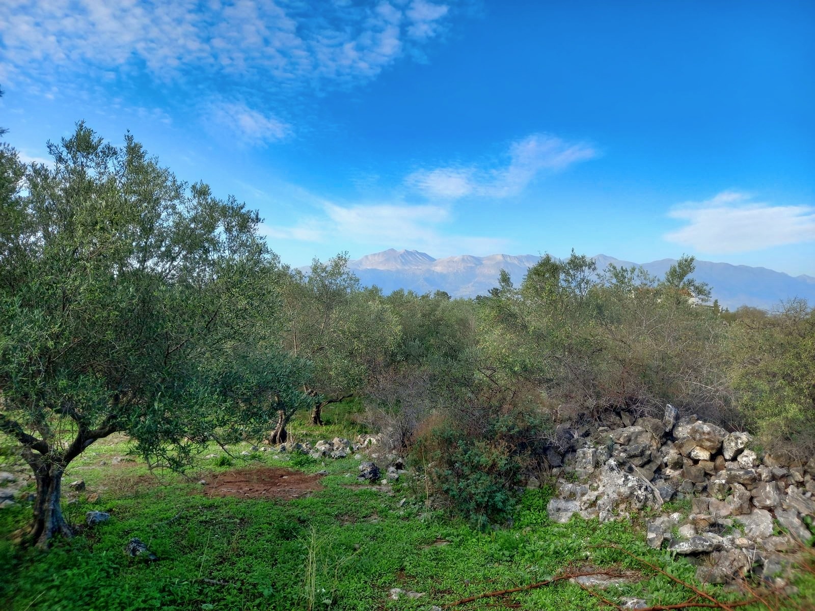 Plot with panoramic White Mountains view inside the village limits of Kefalas