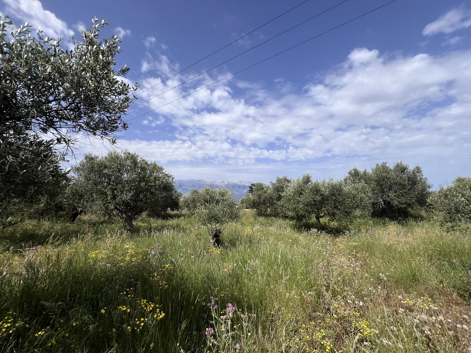 Land in Kefalas - view 1