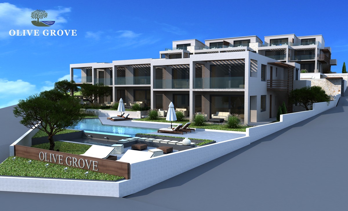 Thumbnail of 